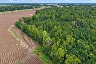 571 Coleman Rd, Tabor City, NC 28463 - Photo 60
