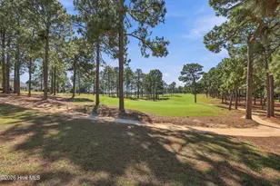 25 Steeplechase Way, Southern Pines, NC 28387 - Photo 38