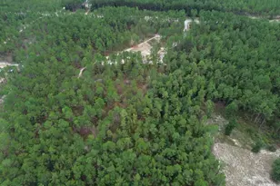 7595 Edgehill Avera Rd, Gibson, GA 30810 - Photo 6