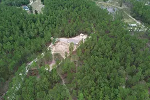 7595 Edgehill Avera Rd, Gibson, GA 30810 - Photo 4
