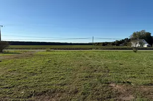 329 Nc Hwy 32, Sunbury, NC 27979 - Photo 22