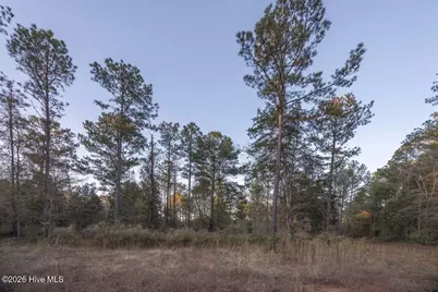 0 Barr Chapel Road, Edgefield, SC 29824 - Photo 10