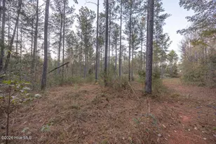 0 Barr Chapel Rd, Edgefield, SC 29824 - Photo 1