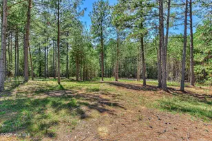 1192 Sunset Cove, Tignall, GA 30668 - Photo 40