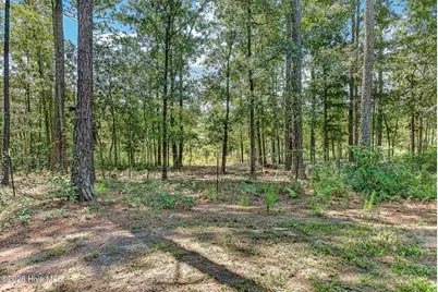 548 Carolina 306, Grantsboro, NC 28529 - Photo 42