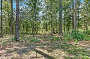 548 Carolina 306, Grantsboro, NC 28529 - Photo 42