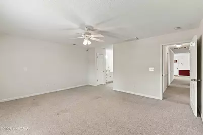 344 Ludie Brown Road, Chinquapin, NC 28521 - Photo 20