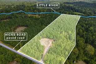 Lot 5 Capelsie Rd, Candor, NC 27229 - Photo 1