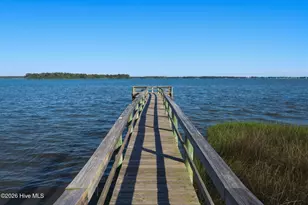 46 Pickett Way, Swansboro, NC 28584 - Photo 42