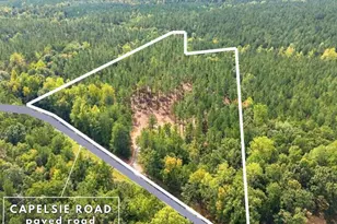 Lot 1 Capelsie Rd, Candor, NC 27229 - Photo 1
