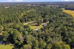 313 Henderson Rd, Trenton, NC 28585 - Photo 48