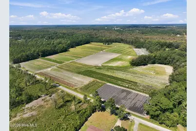 000 Willis Farm Tract-1 Road, Newport, NC 28570 - Photo 6