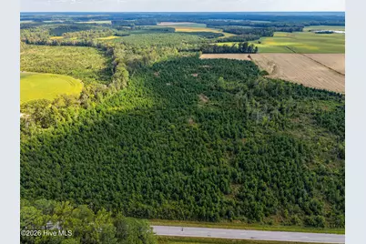 Tract 4 Bethlehem Church Road, Tarboro, NC 27886 - Photo 4