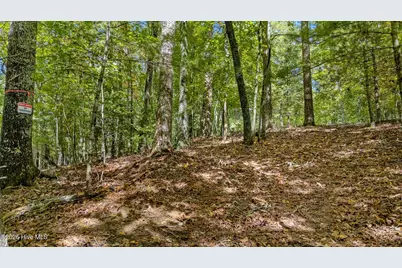 151 Pinewood Drive, Murphy, NC 28906 - Photo 48