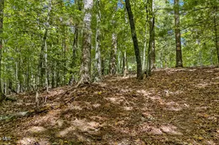 151 Pinewood Dr, Murphy, NC 28906 - Photo 48