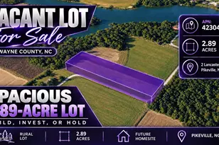 2 Lancaster Pointe Dr, Pikeville, NC 27863 - Photo 1