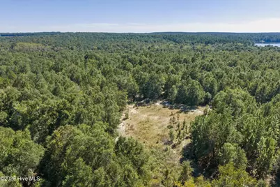 0000 Mary Rawls Road, Wagener, SC 29164 - Photo 6