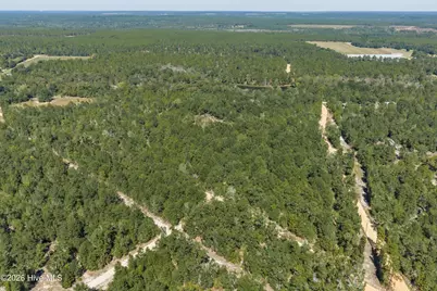 0000 Mary Rawls Road, Wagener, SC 29164 - Photo 16