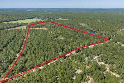 0000 Mary Rawls Road, Wagener, SC 29164 - Photo 1