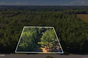 14942 US 258 S, Fountain, NC 27829 - Photo 20
