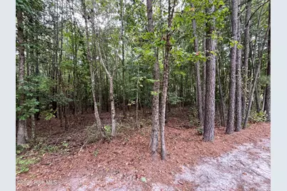 410 Bingham Street, Carthage, NC 28327 - Photo 4