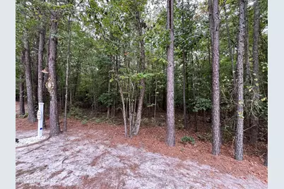 410 Bingham Street, Carthage, NC 28327 - Photo 2