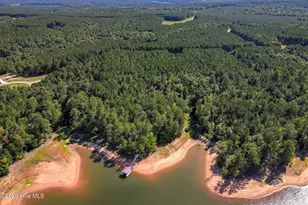 1165 Watersedge Cove, Tignall, GA 30668 - Photo 48