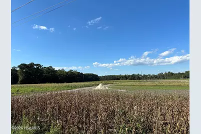 000 Willis Farm (68Ac All 3 Lots), Newport, NC 28570 - Photo 12