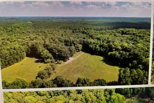 2315 W Chrisco Rd, Seagrove, NC 27341 - Photo 62