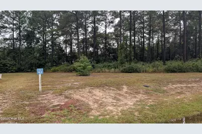 244 Gus Horne Road, Holly Ridge, NC 28445 - Photo 2