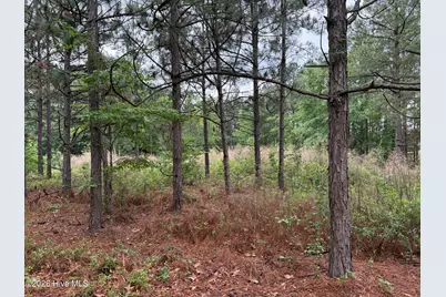 280 Murray Hill Road, Southern Pines, NC 28387 - Photo 2