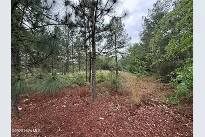 280 Murray Hill Road, Southern Pines, NC 28387 - Photo 1