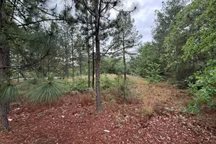 280 Murray Hill Rd, Southern Pines, NC 28387 - Photo 1