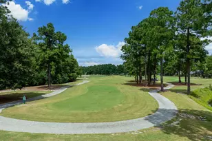 1141 Greensview Cir, Leland, NC 28451 - Photo 22