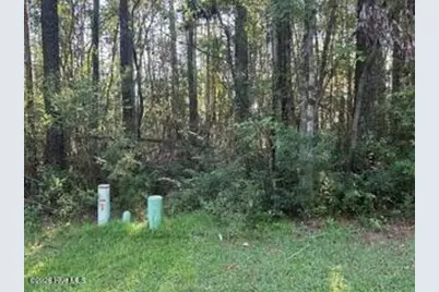900 River Reach Court, New Bern, NC 28560 - Photo 24