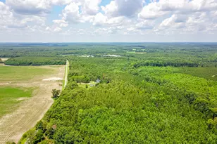 21181 Traders Rd, Laurel Hill, NC 28351 - Photo 54