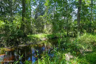 21181 Traders Rd, Laurel Hill, NC 28351 - Photo 62