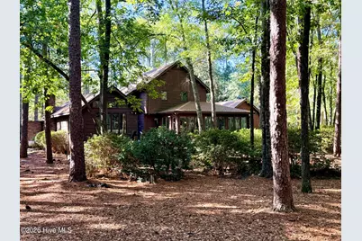 12681 Blues Farm Road, Laurinburg, NC 28352 - Photo 44
