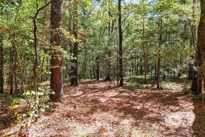 2583 Scotts Ferry Road, Appling, GA 30802 - Photo 44