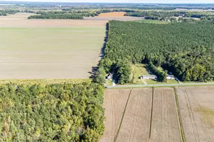 236 Poplar Neck Rd, Tyner, NC 27980 - Photo 30