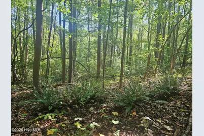 0 Off Old County Home Road, Nashville, NC 27856 - Photo 2