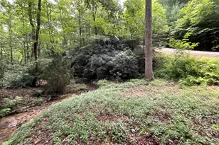 440 Rocky Spgs Ln, Murphy, NC 28906 - Photo 42