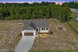 66 Hummingbird Grv Ln, Princeton, NC 27569 - Photo 1