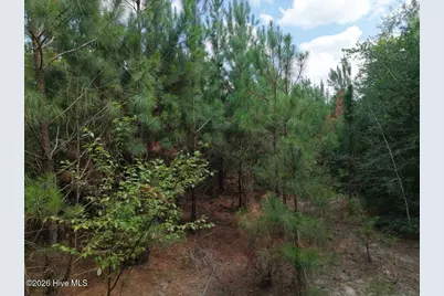 1581 Doubs Chapel Road, West End, NC 27376 - Photo 8