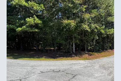 20 Deer Track Drive, Clinton, NC 28328 - Photo 2