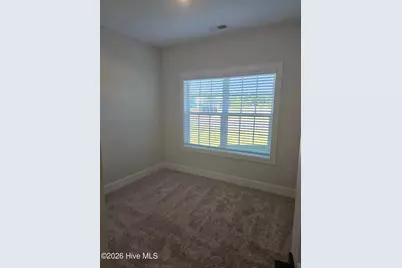 210 S Umbrella Palm Drive, Hampstead, NC 28443 - Photo 18