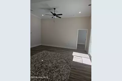 210 S Umbrella Palm Drive, Hampstead, NC 28443 - Photo 10