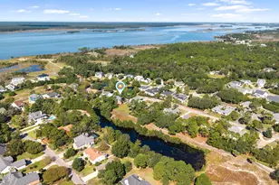 211 The Cape Blvd, Wilmington, NC 28412 - Photo 44