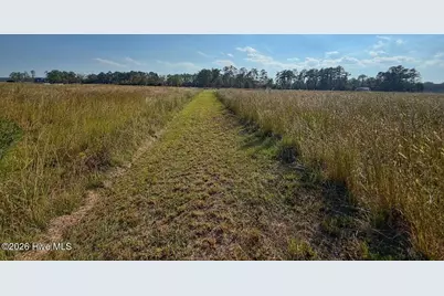 85 Dallas Paul Road, Belhaven, NC 27810 - Photo 26