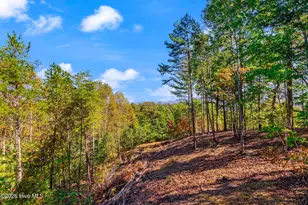 75 Mountain Overlook Dr, Murphy, NC 28906 - Photo 18